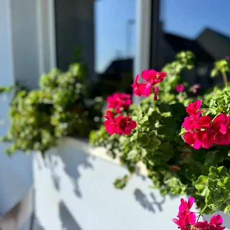 La Maison Bleue - Plain-pied Proche Plages Et Caen Rosel