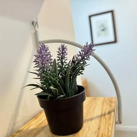 La Maison Bleue - Plain-pied Proche Plages Et Caen *