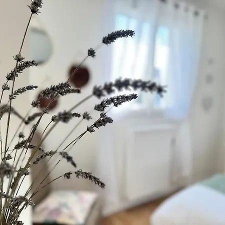 La Maison Bleue - Plain-pied Proche Plages Et Caen Rosel