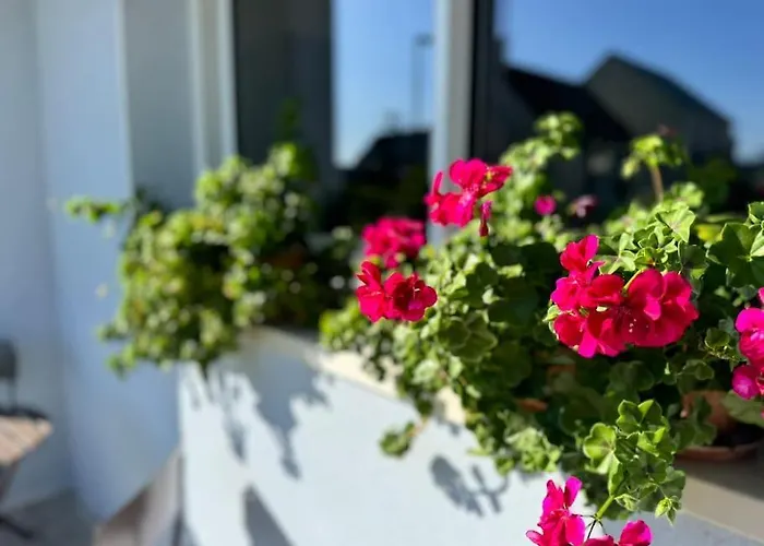 La Maison Bleue - Plain-pied Proche Plages Et Caen Rosel