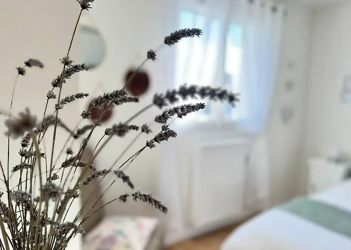 La Maison Bleue - Plain-pied Proche Plages Et Caen Rosel